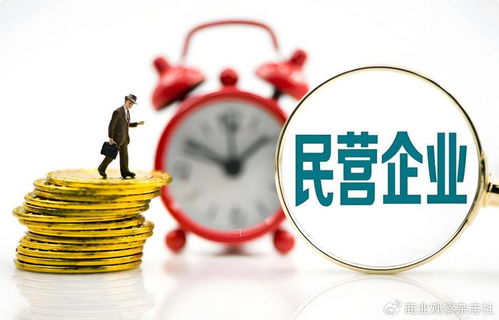 當民營企業遇見世界500強 以企業自有資金共繪“投資中國，共贏未來”新藍圖